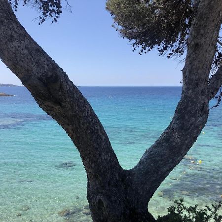 Les Baux 2 Sanary Sur Mer Экстерьер фото